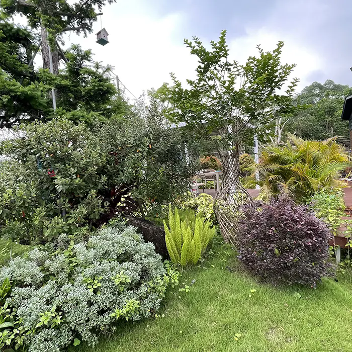 Kepiye Crape Myrtle Nggawe Lanskap sing Apik lan Kurang Pangopènan?